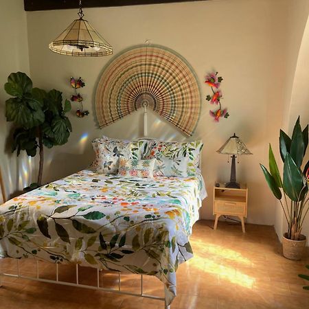 The Garden Apartment, The Willow Apartment, & The Tropical Apartment At Casa Of Essence In Old San Juan Ngoại thất bức ảnh